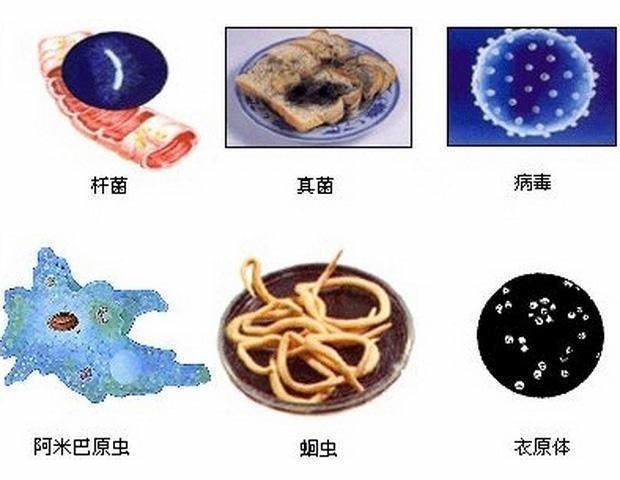 病原微生物检测解决方案